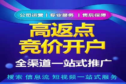 竞价SEM案例分享：快速提高网站流量技巧